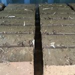 cob bricks sustainable building materials