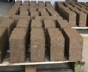 cob courses in Cornwall cob courses cob course learn about cob